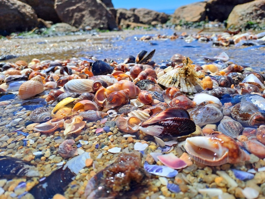 3 Bedroom Property for Sale in Lampiesbaai Western Cape